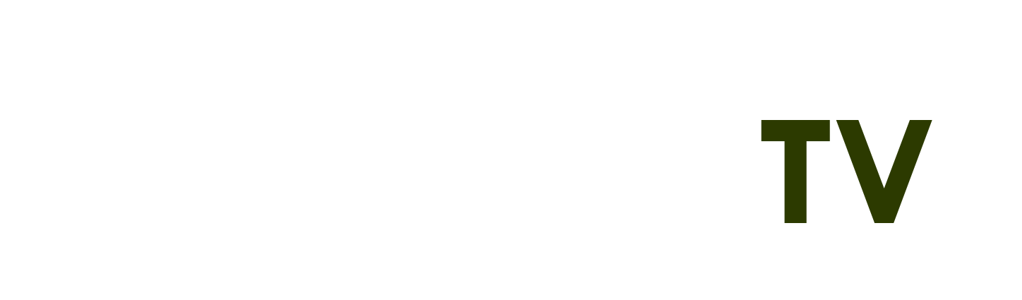 giá xe ô tô cũ